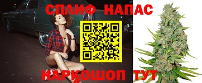 гидра Бузулук