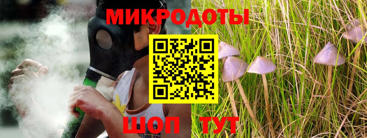 Галлюциногенные грибы Psilocybine cubensis Серов