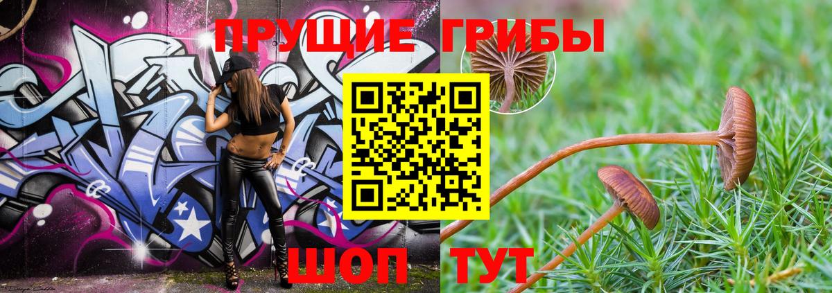 Псилоцибиновые грибы Psilocybe  Вход с VPN  Серов 